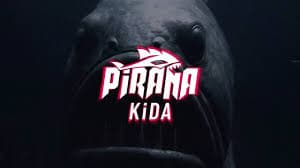 PIRANA Kamikaze Unmanned Surface Vehicle