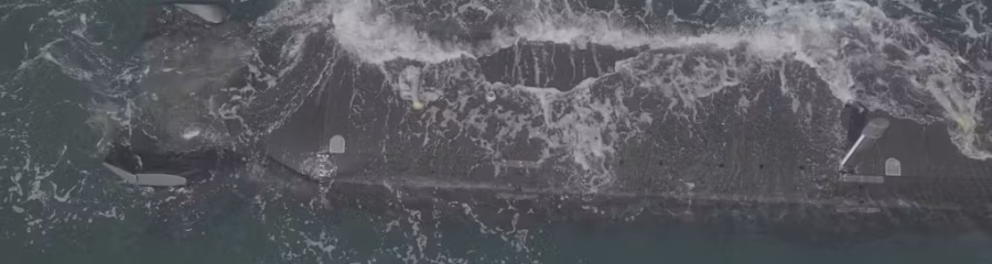 vlcsnap-2025-08-11-14h27m24s025